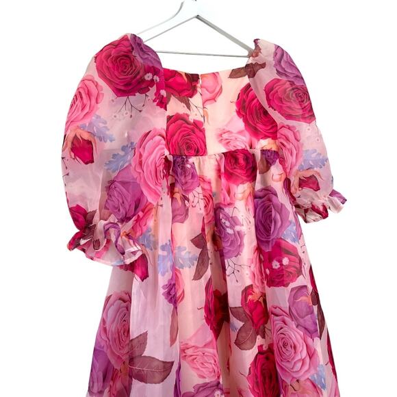 NWT JESSAKAE Pink & Purple Rose Polly Dress Size Medium - Picture 7 of 12